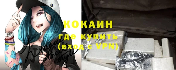 сатива Кинешма