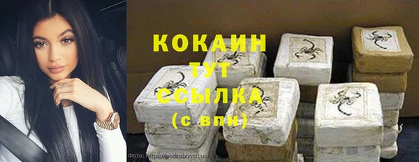 сатива Кинешма