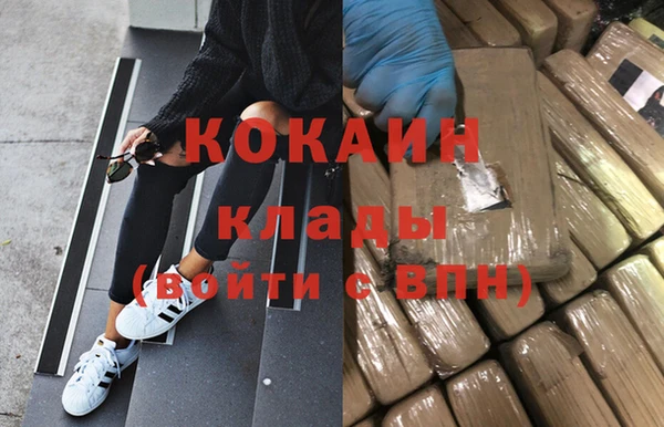 сатива Кинешма