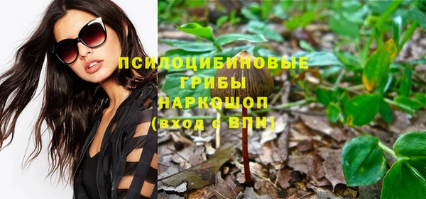 сатива Кинешма