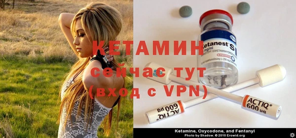 сатива Кинешма