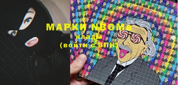 сатива Кинешма