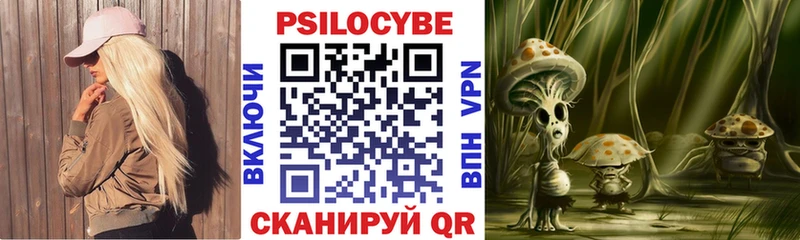 Купить где  Оленегорск  Галлюциногенные грибы GOLDEN TEACHER 