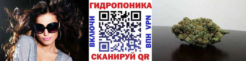 Купить  Оленегорск  Конопля план 